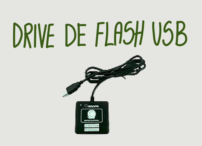 Descrição: imagem do drive de flash USB